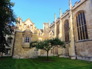ニュートンのリンゴの木（Trinity college）